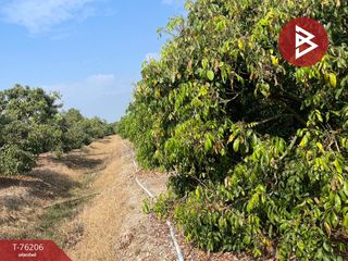 For sale land in San Pa Tong, Chiang Mai