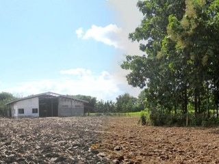 For sale studio land in Song, Phrae