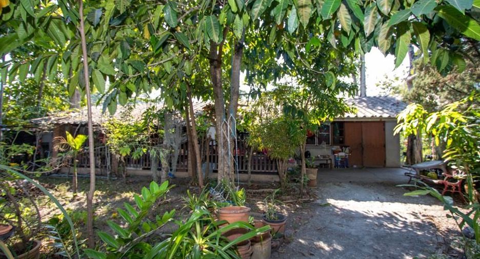 Grundstück zum Kauf in Mae Rim, Chiang Mai