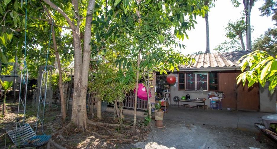 Grundstück zum Kauf in Mae Rim, Chiang Mai