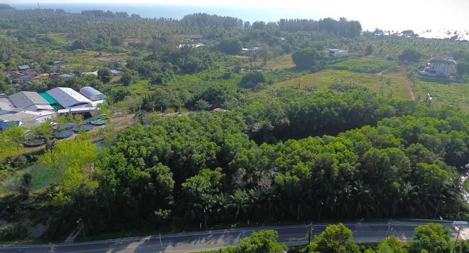For sale land in Takua Thung, Phang Nga