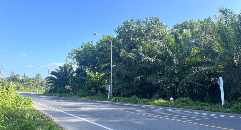 For sale land in Takua Thung, Phang Nga