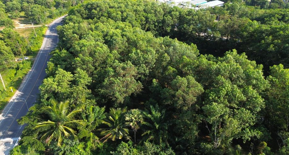 For sale land in Takua Thung, Phang Nga