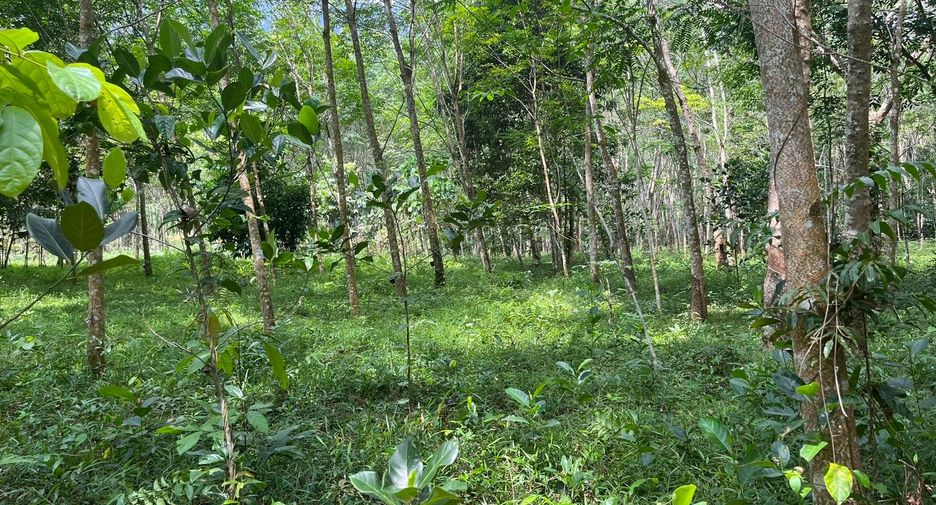 Grundstück zum Kauf in Mueang Krabi, Krabi