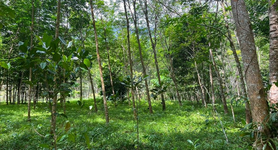 Grundstück zum Kauf in Mueang Krabi, Krabi