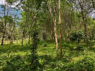 ขาย ที่ดิน ใน เมืองกระบี่, กระบี่