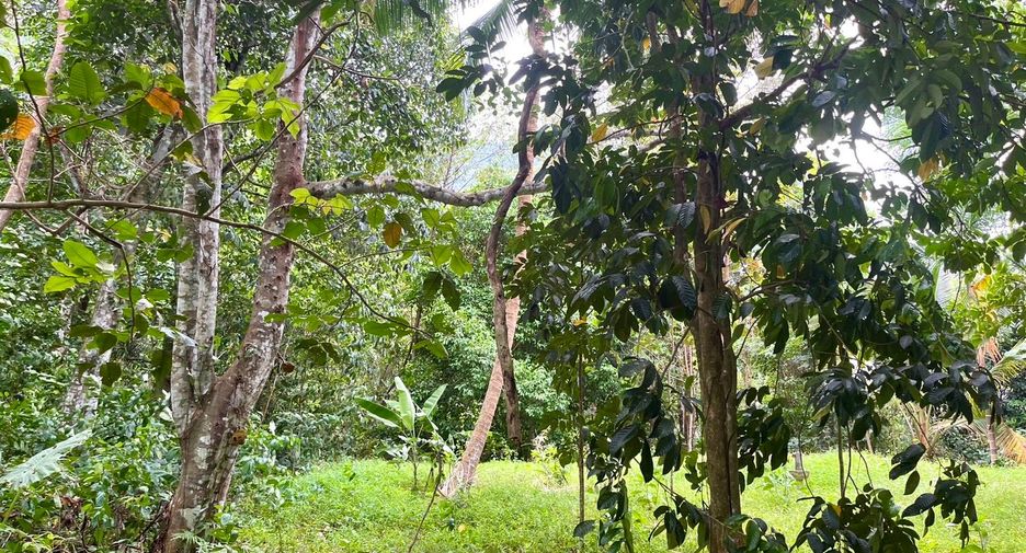 Grundstück zum Kauf in Mueang Krabi, Krabi