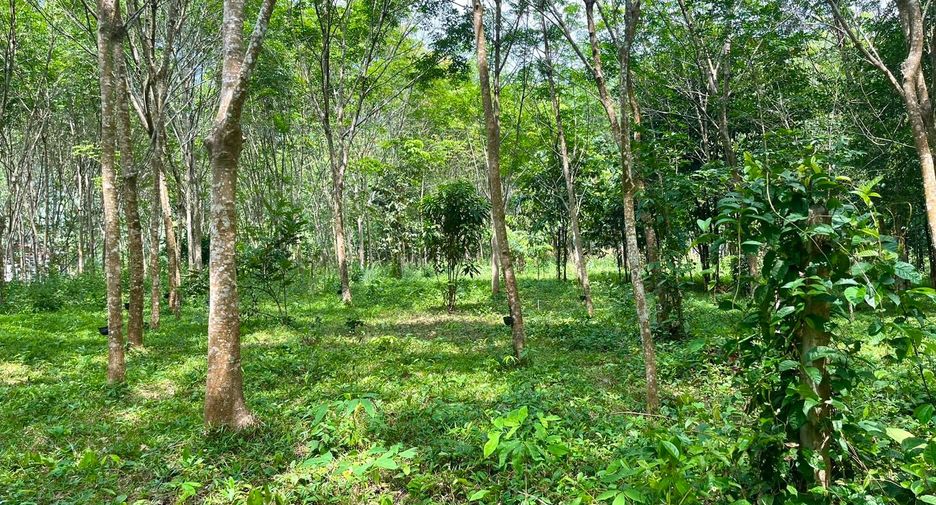 Grundstück zum Kauf in Mueang Krabi, Krabi