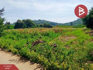 For sale land in Tap Khlo, Phichit