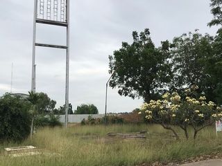 For sale land in Sak Lek, Phichit