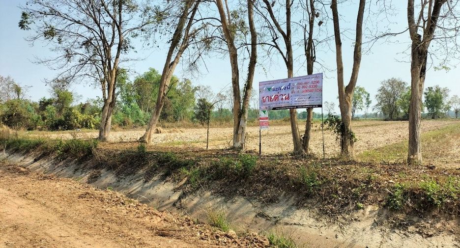 For sale land in Si Chiang Mai, Nong Khai