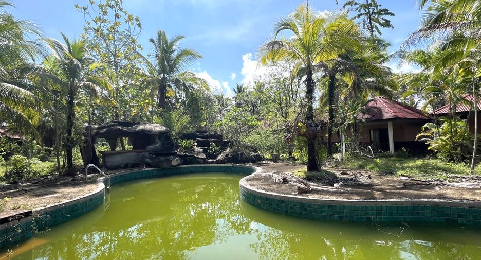 For sale 20 Beds retail Space in Takua Pa, Phang Nga