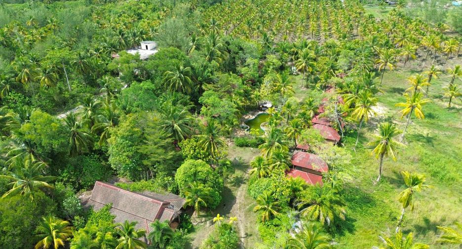 For sale 20 Beds retail Space in Takua Pa, Phang Nga