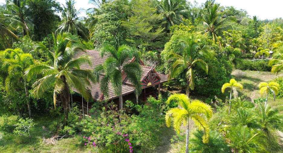 For sale 20 Beds retail Space in Takua Pa, Phang Nga