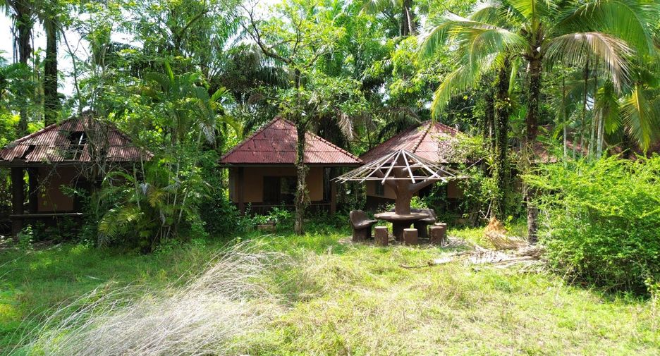 For sale 20 Beds retail Space in Takua Pa, Phang Nga