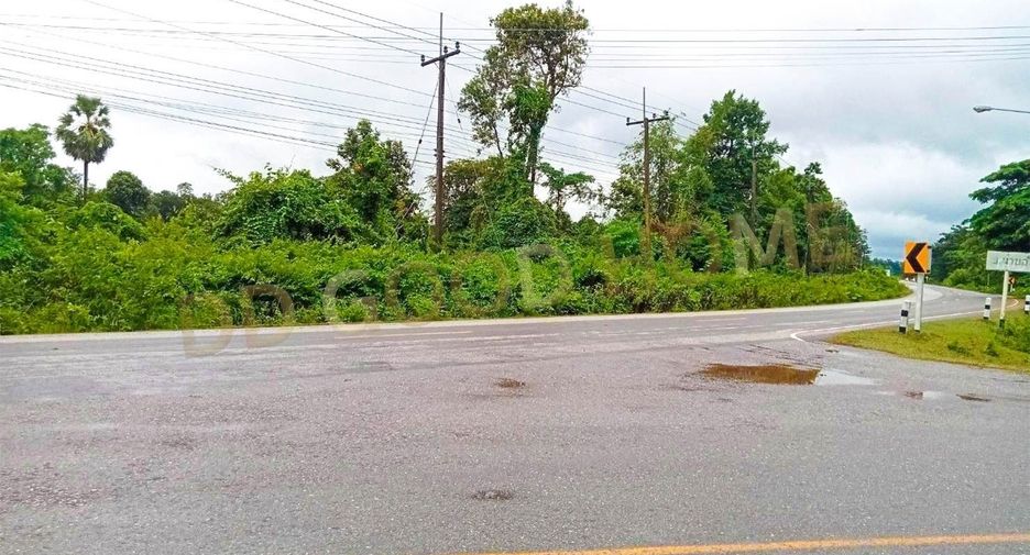 For sale land in Renu Nakhon, Nakhon Phanom