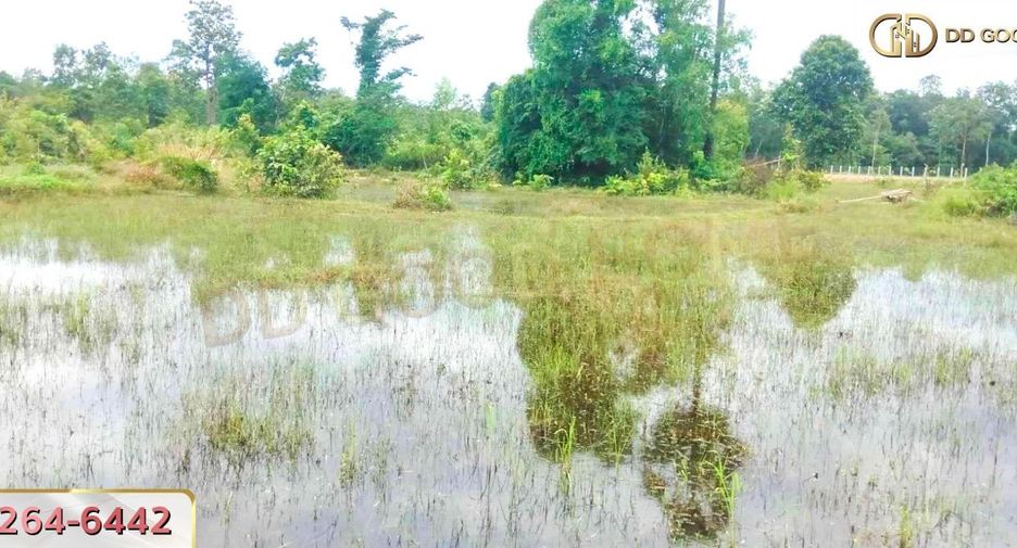 For sale land in Renu Nakhon, Nakhon Phanom