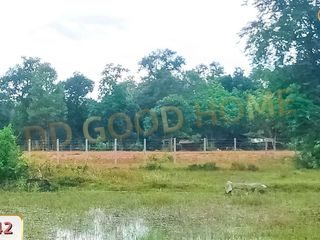 For sale land in Renu Nakhon, Nakhon Phanom