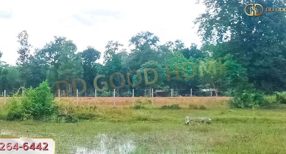 For sale land in Renu Nakhon, Nakhon Phanom
