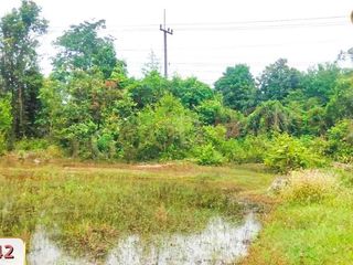 For sale land in Renu Nakhon, Nakhon Phanom