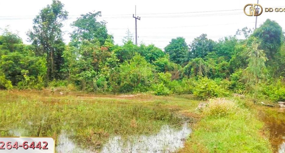 For sale land in Renu Nakhon, Nakhon Phanom
