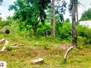For sale land in Renu Nakhon, Nakhon Phanom