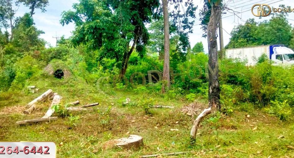 For sale land in Renu Nakhon, Nakhon Phanom