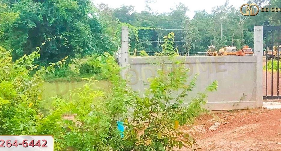 For sale land in Renu Nakhon, Nakhon Phanom