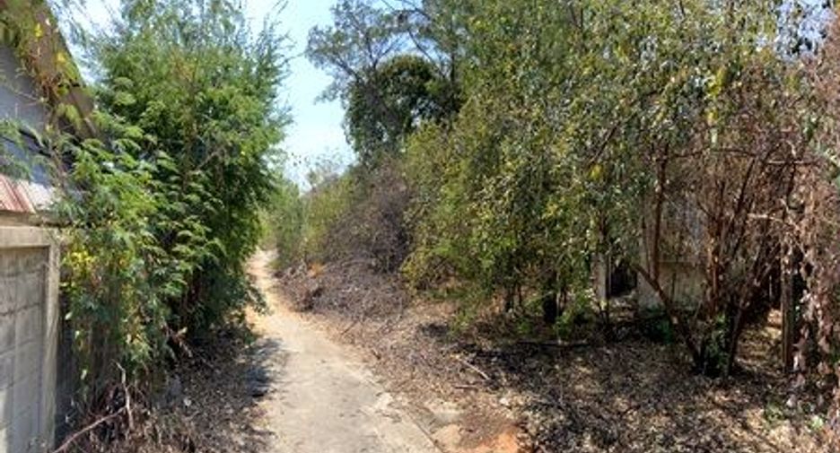 For sale land in Phatthana Nikhom, Lopburi