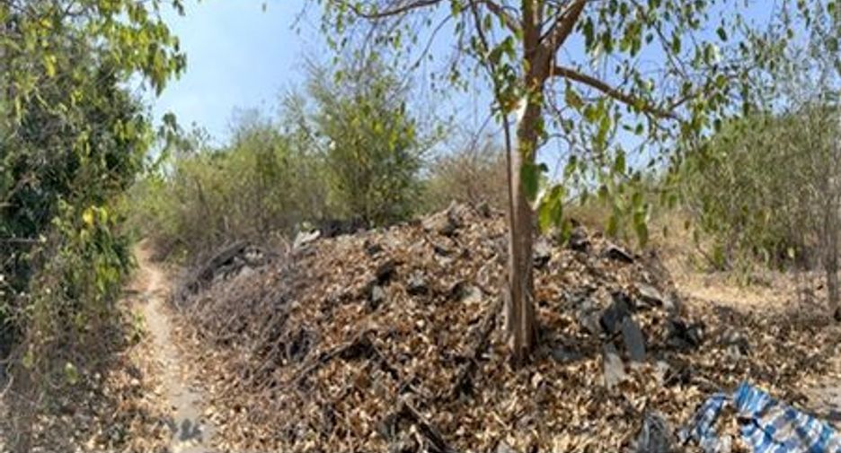For sale land in Phatthana Nikhom, Lopburi