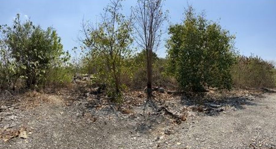 For sale land in Phatthana Nikhom, Lopburi