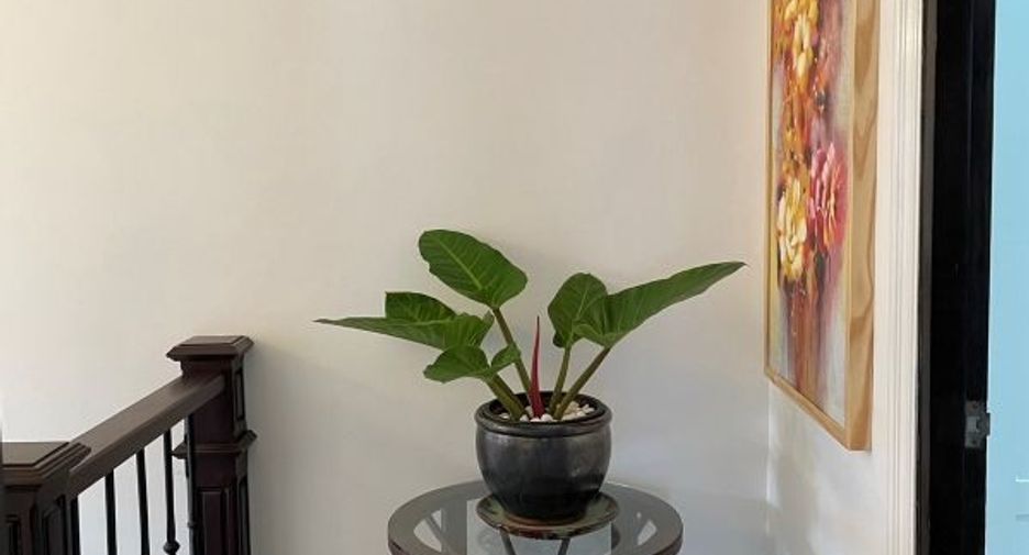 ขาย 3 ห้องนอน บ้านเดี่ยว ใน เมืองเชียงใหม่, เชียงใหม่
