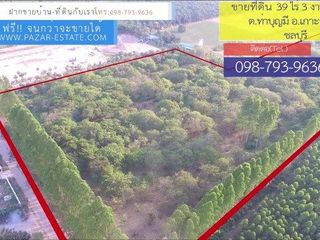 For sale land in Ko Chan, Chonburi