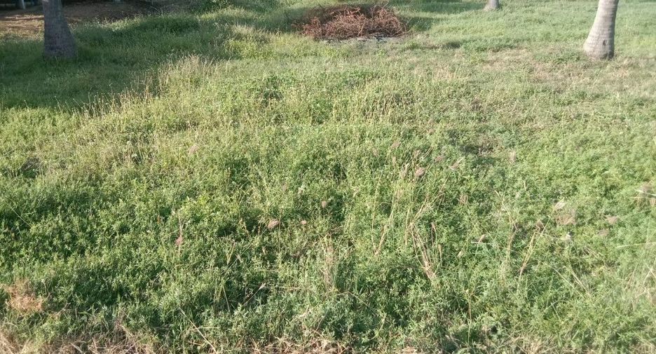 Terreno en venta en Kui Buri, Prachuap Khiri Khan