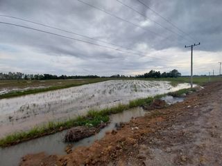 ขาย ที่ดิน ใน ชุมแสง, นครสวรรค์