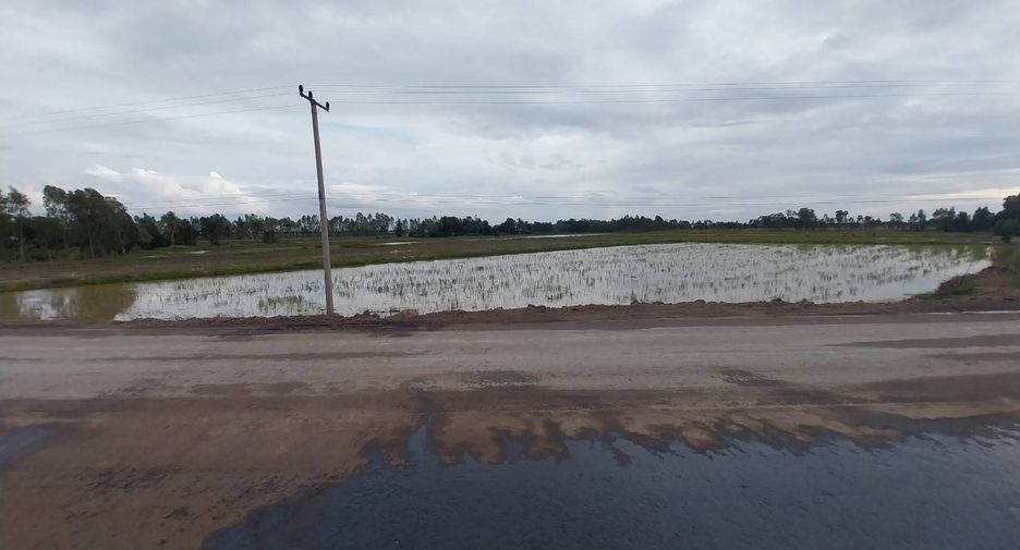 For sale land in Chum Saeng, Nakhon Sawan