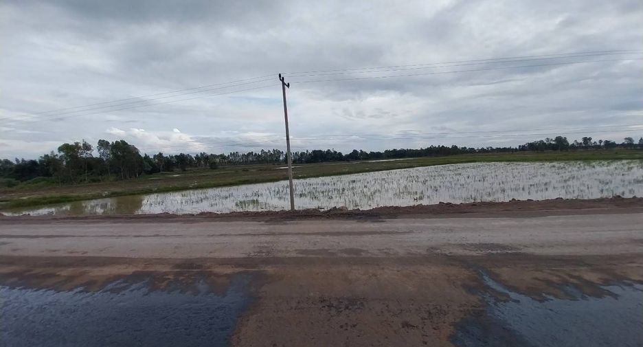 For sale land in Chum Saeng, Nakhon Sawan