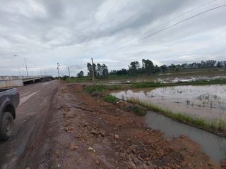 ขาย ที่ดิน ใน ชุมแสง, นครสวรรค์