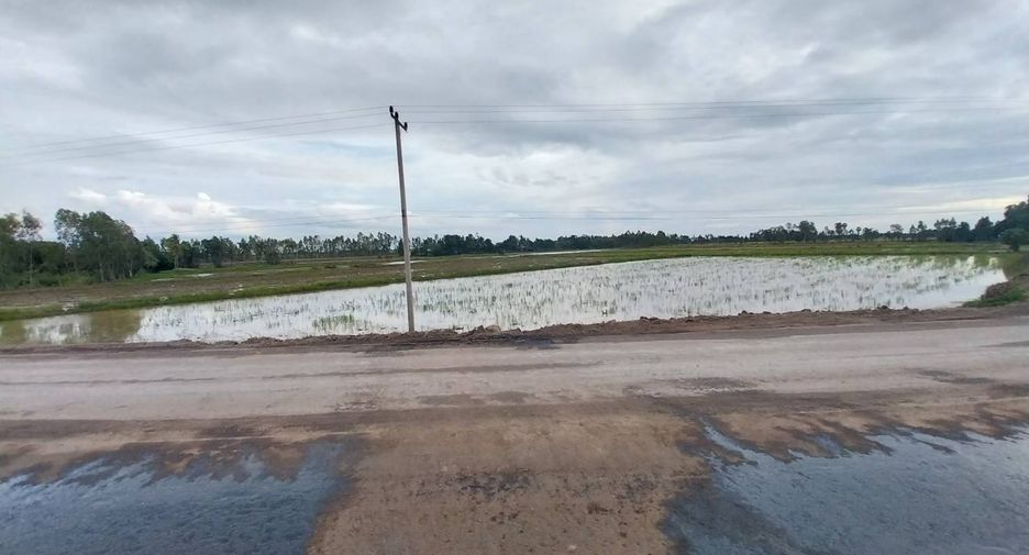 For sale land in Chum Saeng, Nakhon Sawan
