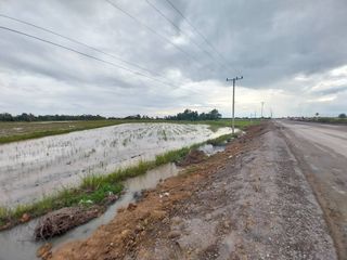 ขาย ที่ดิน ใน ชุมแสง, นครสวรรค์