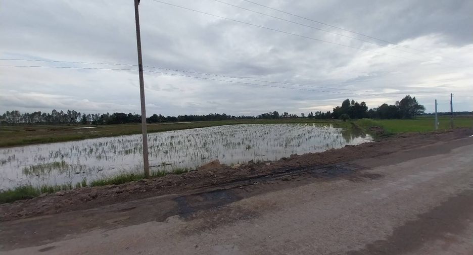 For sale land in Chum Saeng, Nakhon Sawan