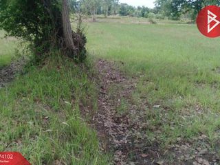 For sale land in Si Narong, Surin