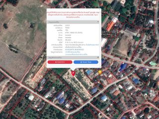 For sale land in Doi Lo, Chiang Mai