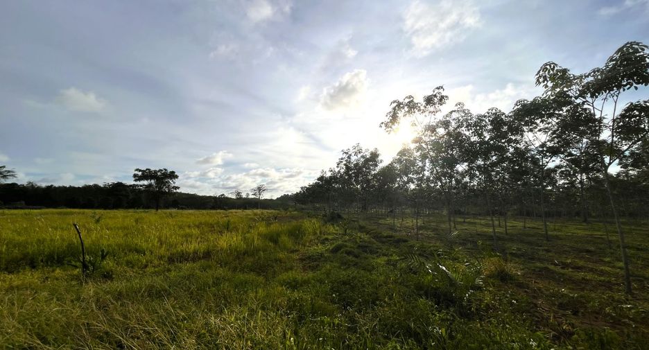À vendre terrain à Thai Mueang, Phang Nga
