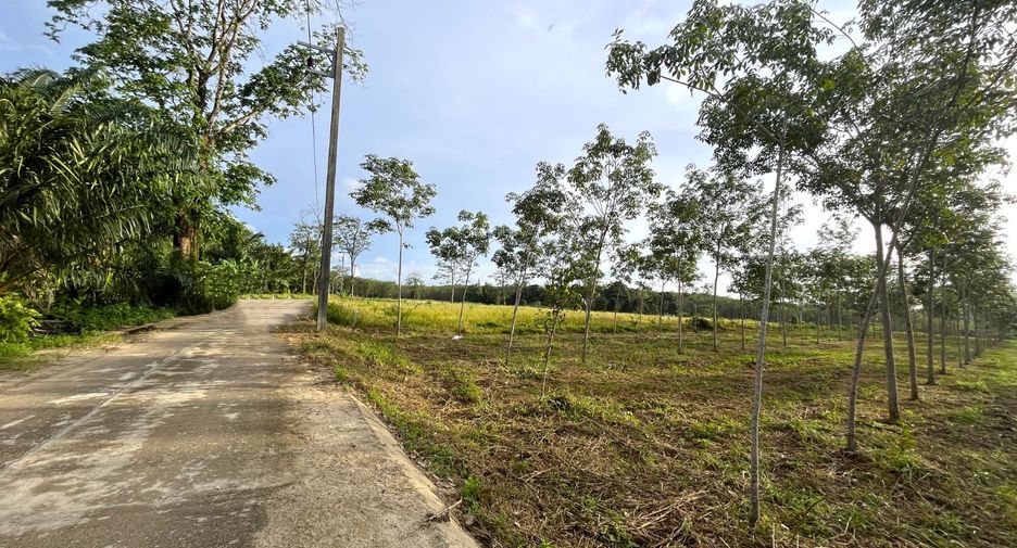 À vendre terrain à Thai Mueang, Phang Nga