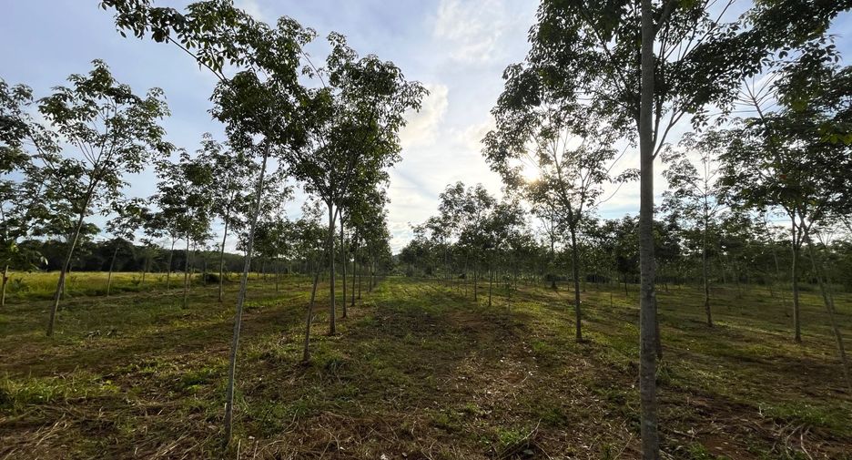 À vendre terrain à Thai Mueang, Phang Nga