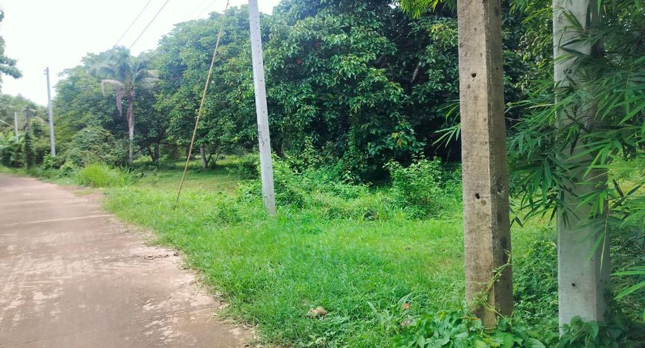À vendre terrain à Mueang Prachinburi, Prachin Buri