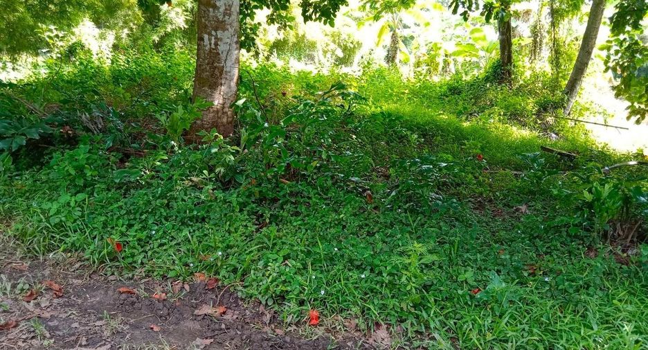 À vendre terrain à Mueang Prachinburi, Prachin Buri