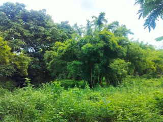 For sale land in Mueang Prachinburi, Prachin Buri