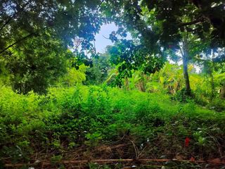 For sale land in Mueang Prachinburi, Prachin Buri
